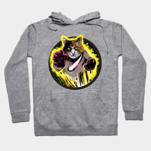 Calicomet Cat! Hoodie